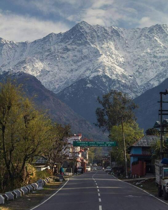 Aroma Taru Villa / Cottage ,Manali Екстериор снимка