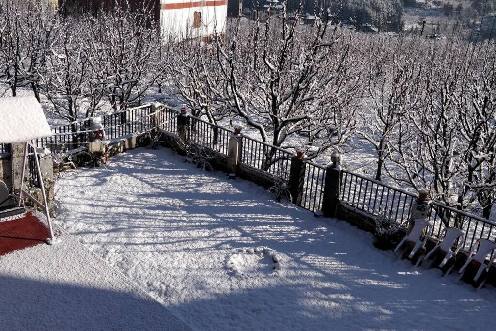 Aroma Taru Villa / Cottage ,Manali Екстериор снимка