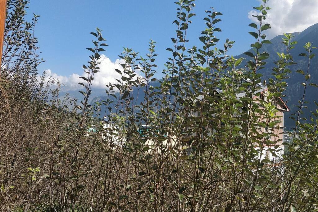 Aroma Taru Villa / Cottage ,Manali Екстериор снимка