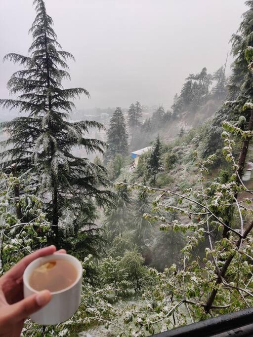 Aroma Taru Villa / Cottage ,Manali Екстериор снимка