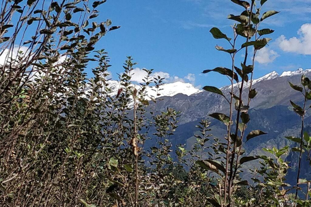 Aroma Taru Villa / Cottage ,Manali Екстериор снимка