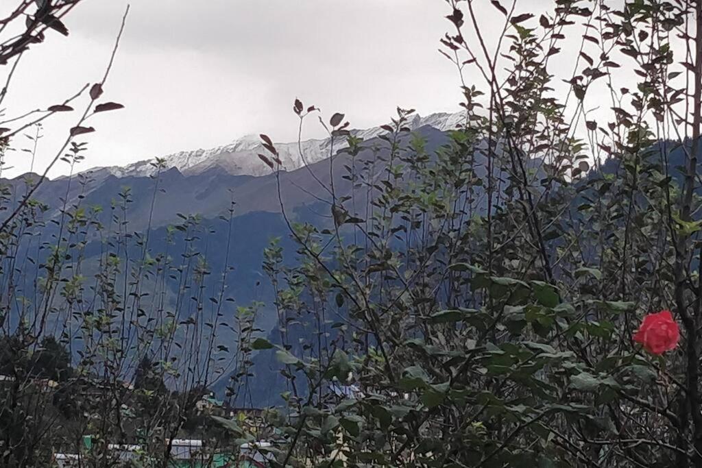 Aroma Taru Villa / Cottage ,Manali Екстериор снимка
